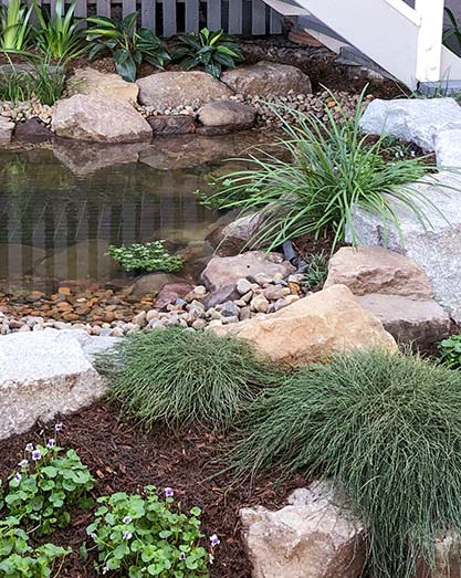 Water feature pond with stepping stones and native plants