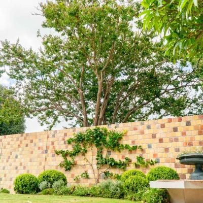 78 Howard St Paddington 10